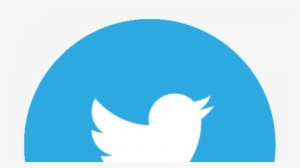 Detail Twitter Bird Logo Png Transparent Background Nomer 29