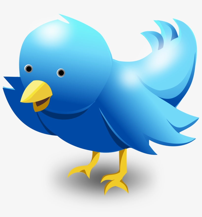 Detail Twitter Bird Logo Png Transparent Background Nomer 30