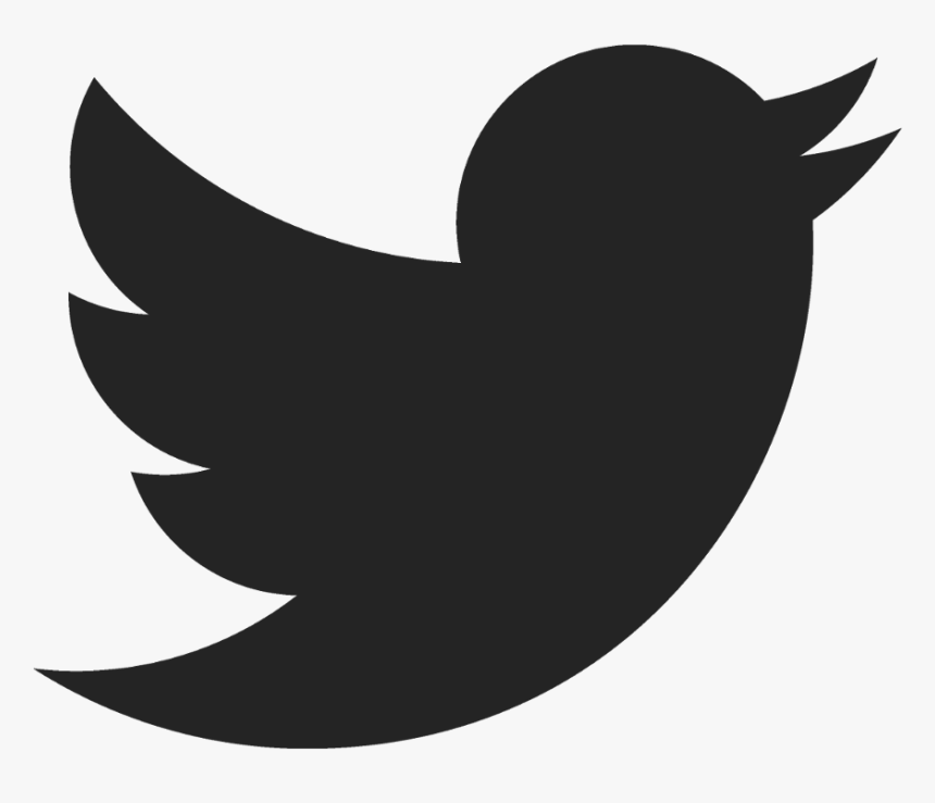 Detail Twitter Bird Logo Png Transparent Background Nomer 36