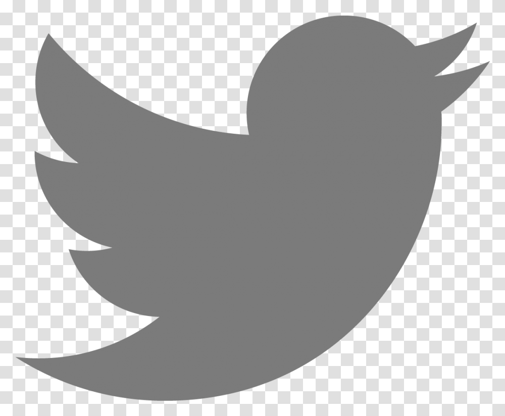 Detail Twitter Bird Logo Png Transparent Background Nomer 43
