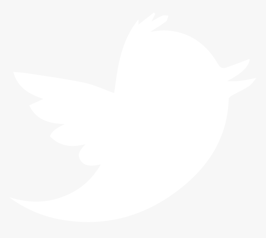 Detail Twitter Bird Logo Png Transparent Background Nomer 46