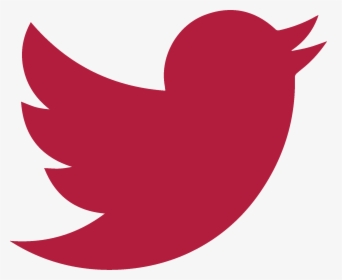 Detail Twitter Bird Logo Png Transparent Background Nomer 49