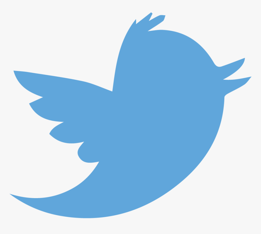 Detail Twitter Bird Logo Png Transparent Background Nomer 3