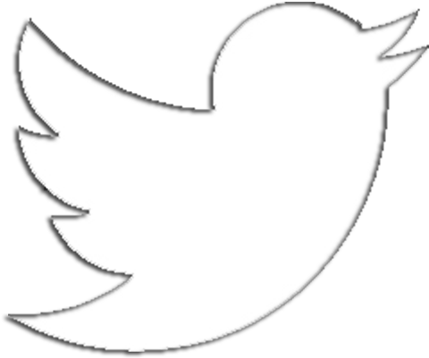 Detail Twitter Bird Png Nomer 44