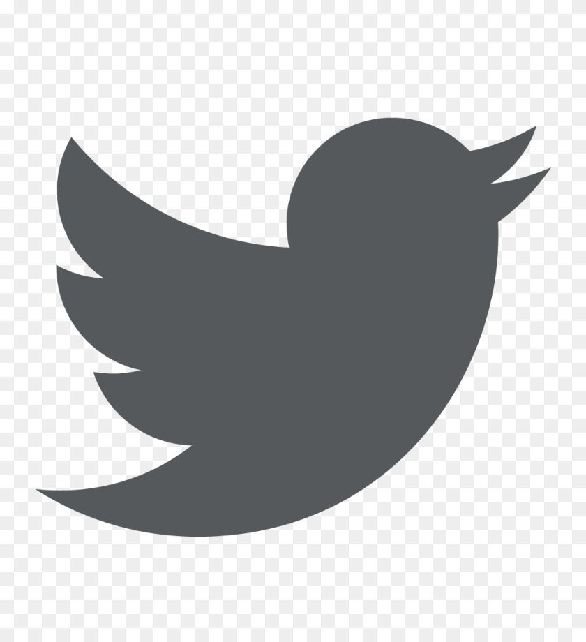 Detail Twitter Bird Png Transparent Nomer 21