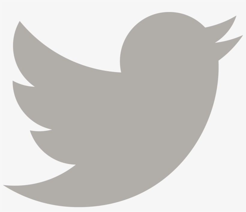 Detail Twitter Bird Png Transparent Nomer 30