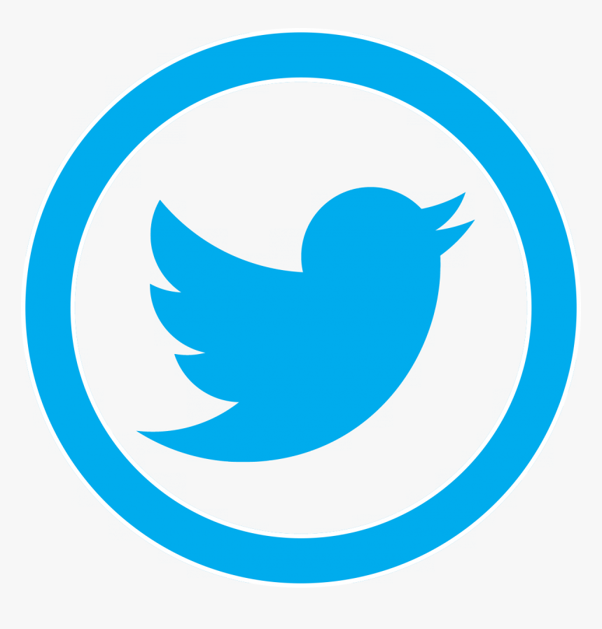 Detail Twitter Bird Png Transparent Nomer 2