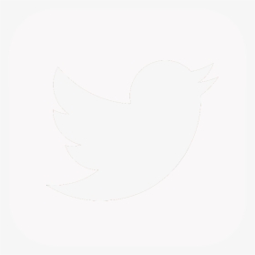 Detail Twitter Bird White Png Nomer 23