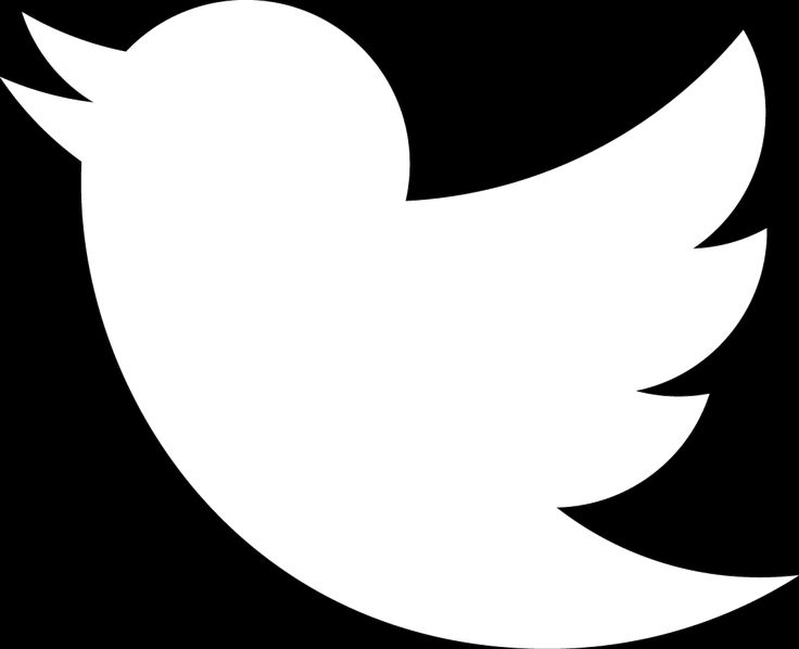 Detail Twitter Bird White Png Nomer 4