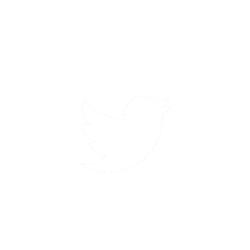 Detail Twitter Bird White Png Nomer 34