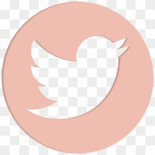 Detail Twitter Circle Logo Png Nomer 31