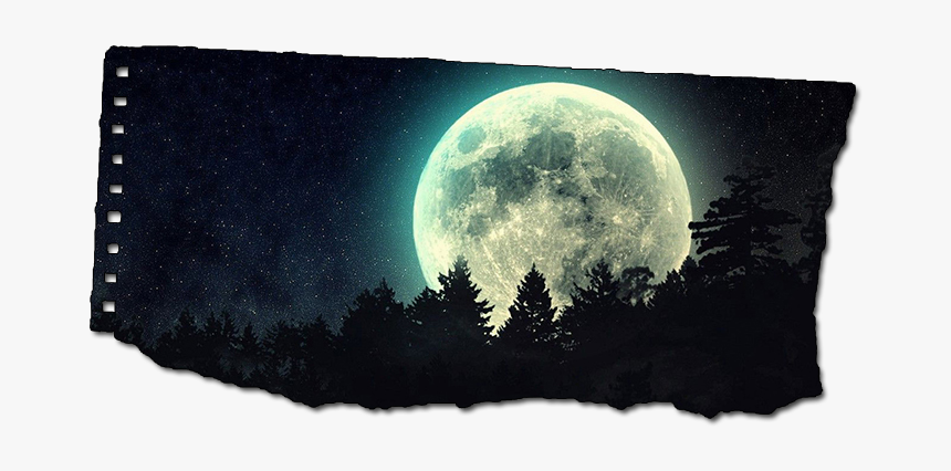 Detail Twitter Header Hd Nomer 19