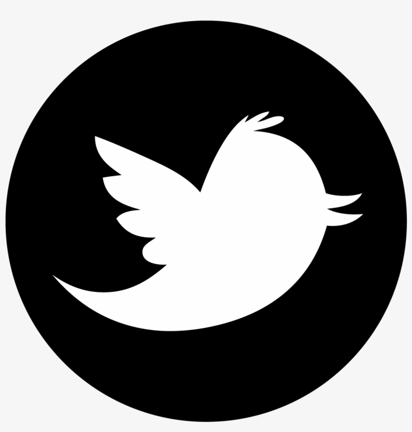 Detail Twitter Icon Circle Nomer 16