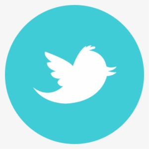 Detail Twitter Icon Circle Nomer 26