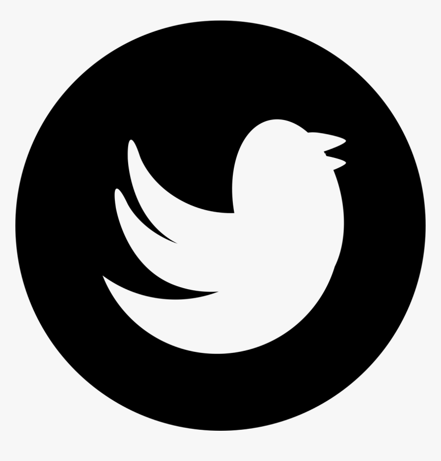 Detail Twitter Icon Circle Nomer 41