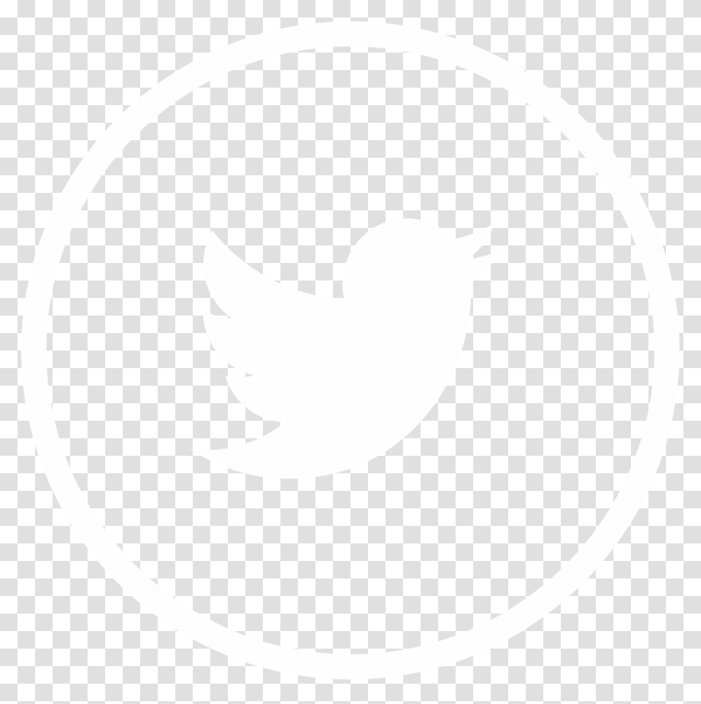 Detail Twitter Icon Circle Nomer 43