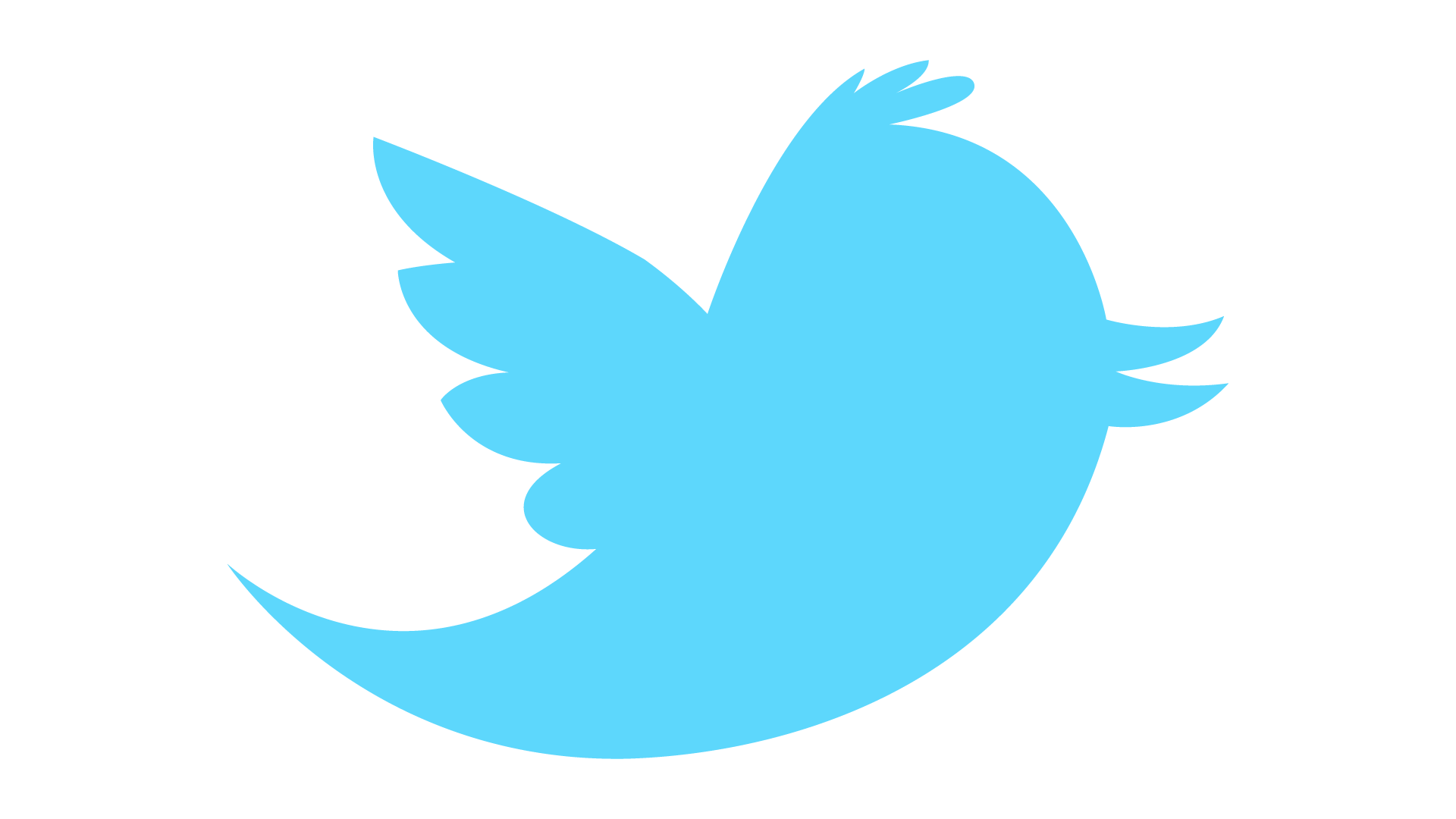 Detail Twitter Logo 2017 Png Nomer 17