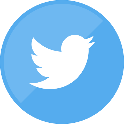 Twitter Logo For Website - KibrisPDR