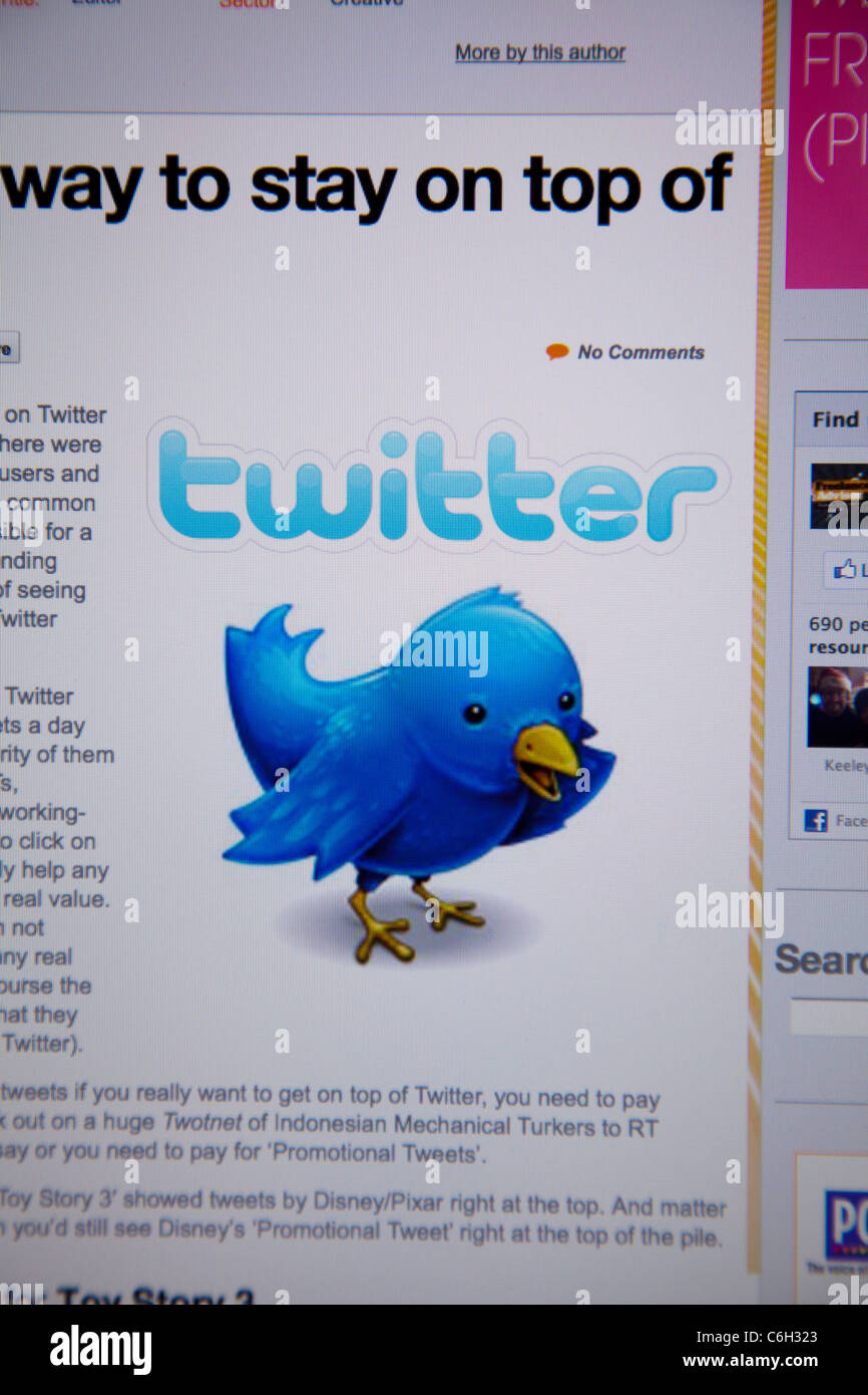 Detail Twitter Logo For Website Nomer 22