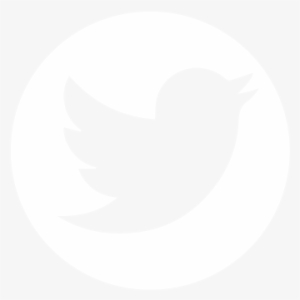 Detail Twitter Logo For Website Nomer 27