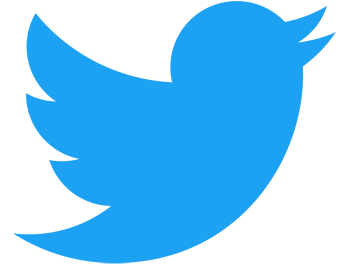 Detail Twitter Logo For Website Nomer 5