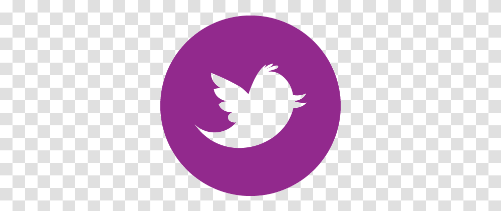 Detail Twitter Logo For Website Nomer 39