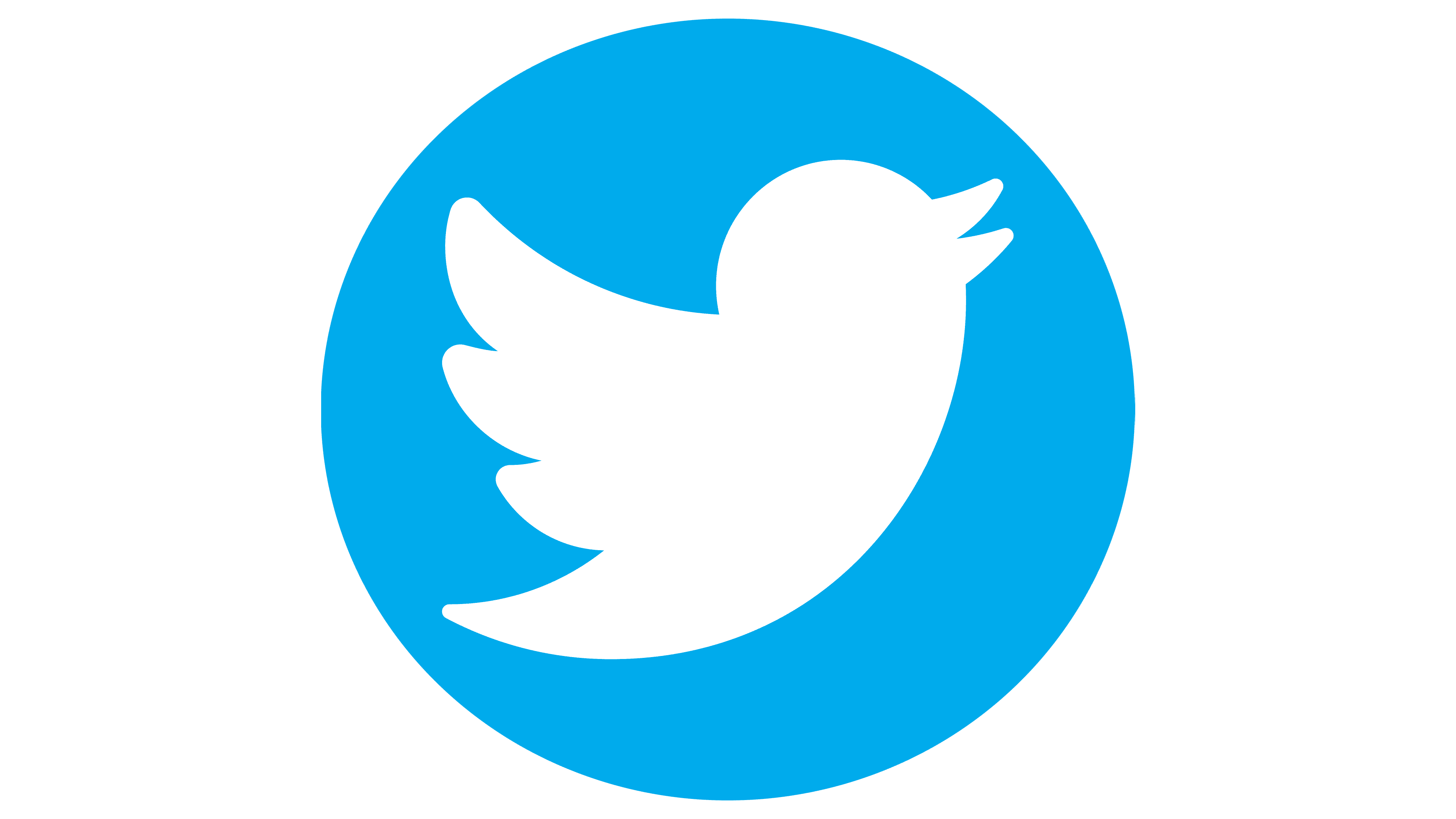 Detail Twitter Logo For Website Nomer 9