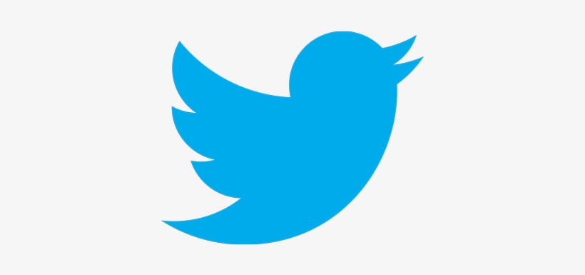 Detail Twitter Logo High Resolution Nomer 2