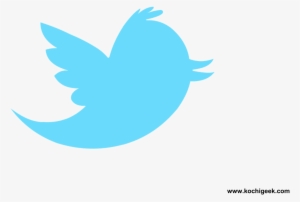 Detail Twitter Logo Png Small Nomer 38