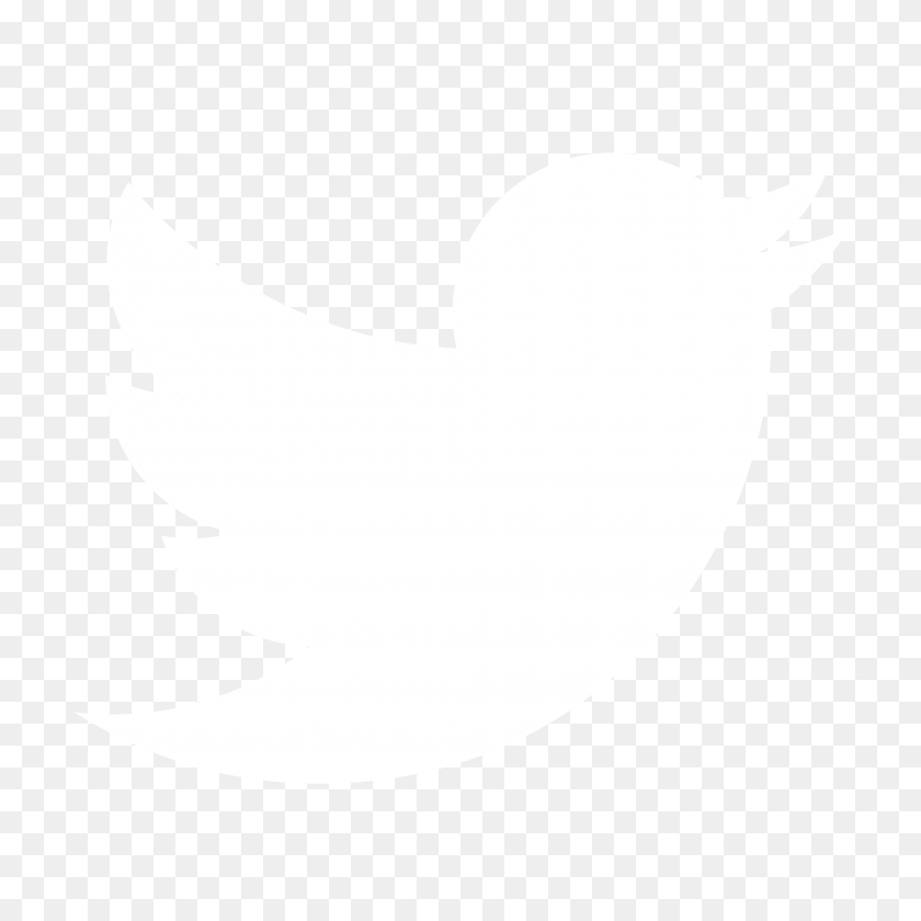 Detail Twitter Logo Png Transparent Background Nomer 39
