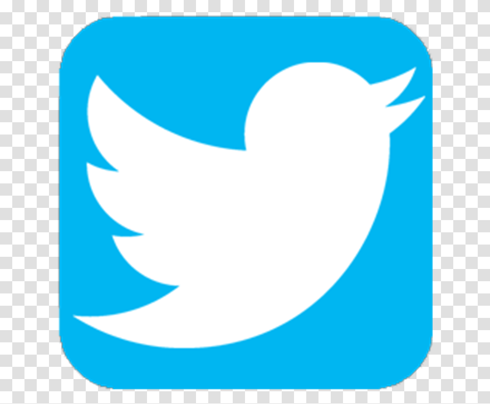 Detail Twitter Logo Transparent Background Png Nomer 11