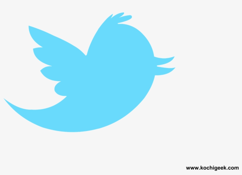 Detail Twitter Logo Transparent Background Png Nomer 12