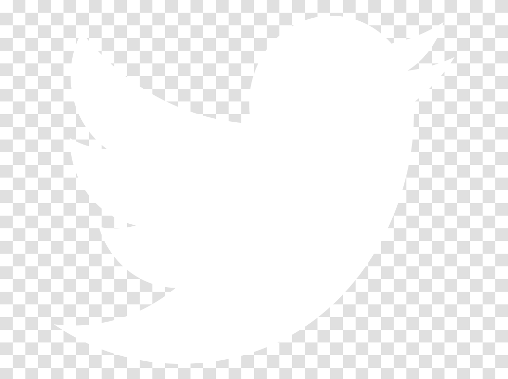 Detail Twitter Logo Vector Nomer 34