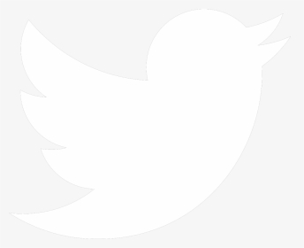 Detail Twitter Logo White Nomer 3