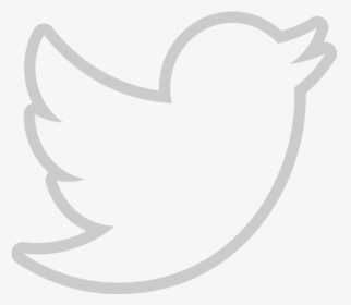 Detail Twitter Logo White Nomer 38