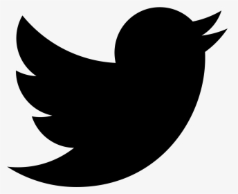 Detail Twitter Logo Without Background Nomer 19