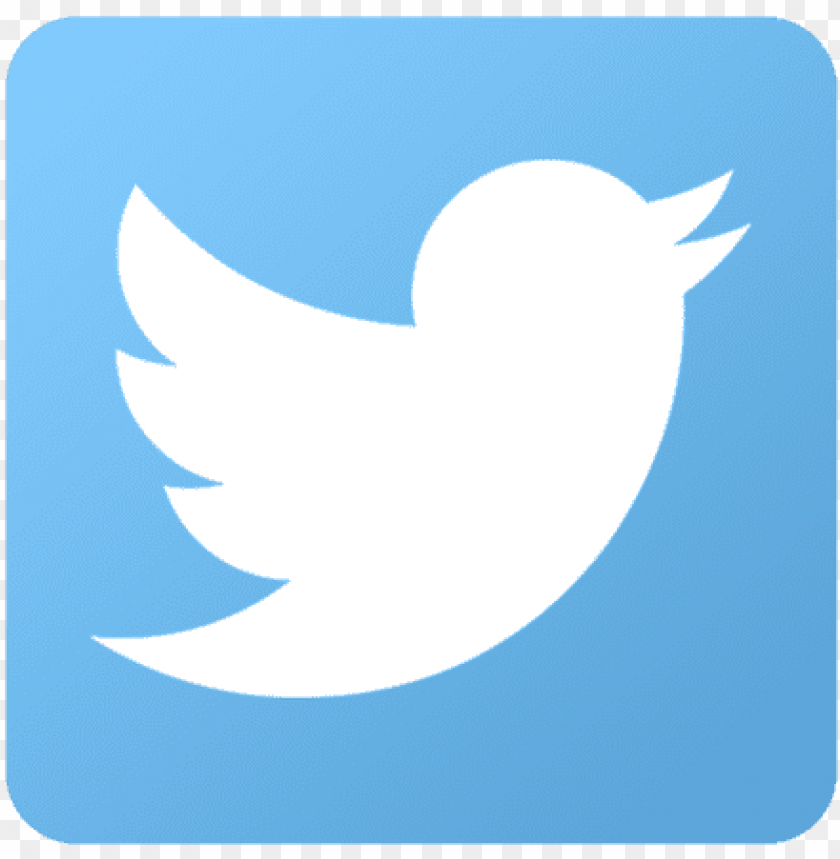 Detail Twitter Logo Without Background Nomer 21