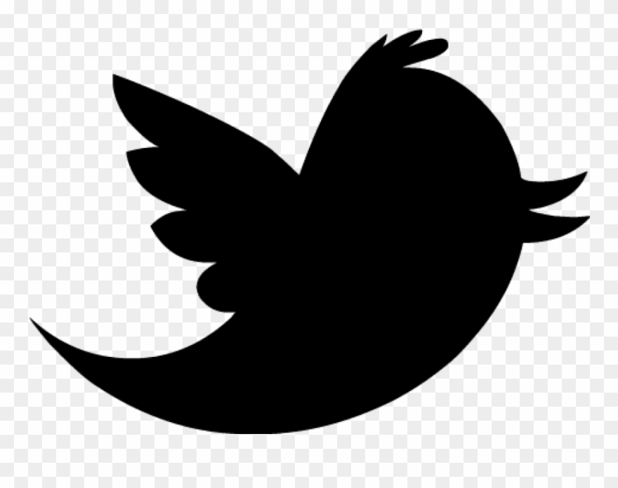 Detail Twitter Logo Without Background Nomer 25