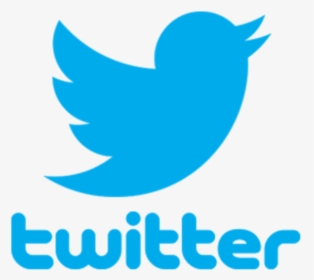 Detail Twitter Logo Without Background Nomer 35