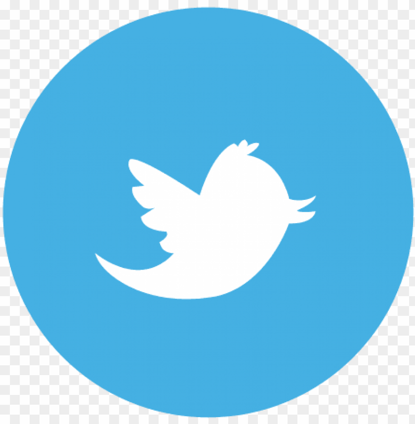 Download Twitter Logo Without Background Nomer 5