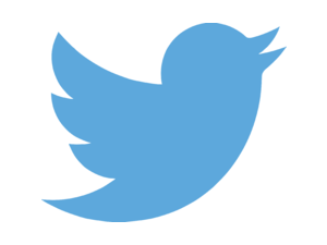 Detail Twitter Png Nomer 47