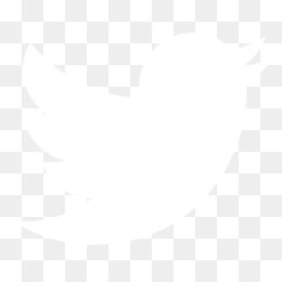 Detail Twitter Png White Nomer 13