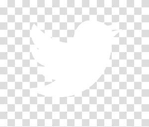 Detail Twitter White Logo Png Nomer 17