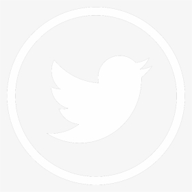 Detail Twitter White Logo Png Nomer 19