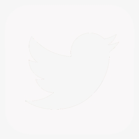 Detail Twitter White Logo Png Nomer 43