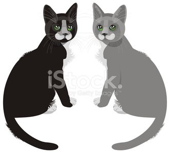 Detail Two Cats Clipart Nomer 39