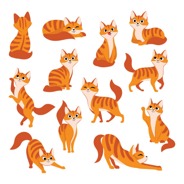 Detail Two Cats Clipart Nomer 45