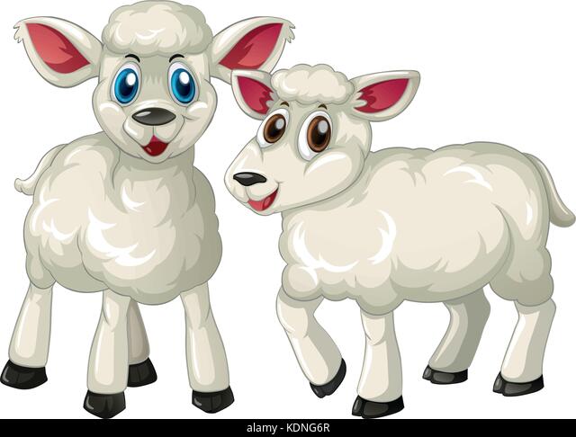 Detail Two Lambs Clipart Nomer 13