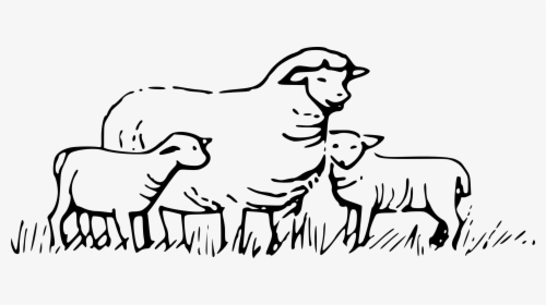 Detail Two Lambs Clipart Nomer 34