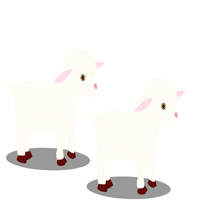 Detail Two Lambs Clipart Nomer 45